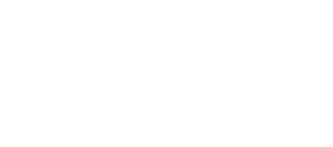 ̹